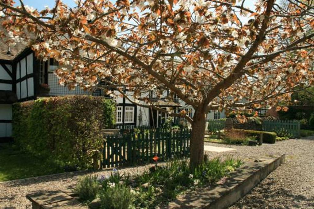 Peel Cottage, Dilwyn Habitación foto